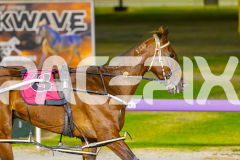 2026_PACEPIX_GP09012026_Race7_TubbsFarquhar_WIN_WEB-15