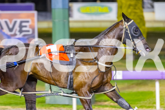 2026_PACEPIX_GP09012026_Race7_TubbsFarquhar_WIN_WEB-4