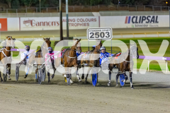 2026_PACEPIX_GP09012026_Race7_TubbsFarquhar_WIN_WEB-6