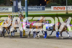 2026_PACEPIX_GP09012026_Race7_TubbsFarquhar_WIN_WEB-8