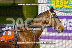 2026_PACEPIX_GP24072026_RACE7_TwobobCracker_WIN_WEB-10