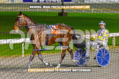 2026_PACEPIX_GP24072026_RACE7_TwobobCracker_WIN_WEB-11