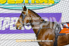 2026_PACEPIX_GP24072026_RACE7_TwobobCracker_WIN_WEB-13