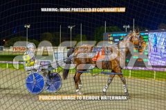 2026_PACEPIX_GP24072026_RACE7_TwobobCracker_WIN_WEB-14