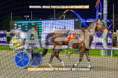 2026_PACEPIX_GP24072026_RACE7_TwobobCracker_WIN_WEB-15