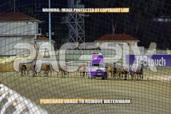 2026_PACEPIX_GP27102026_Race7_ViciouslyUnkind_WIN_WEB-1