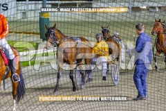 2026_PACEPIX_GP27102026_Race7_ViciouslyUnkind_WIN_WEB-13