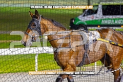 2026_PACEPIX_GP27102026_Race7_ViciouslyUnkind_WIN_WEB-14