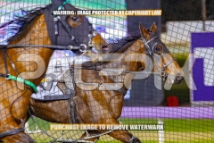 2026_PACEPIX_GP27102026_Race7_ViciouslyUnkind_WIN_WEB-3