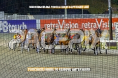 2026_PACEPIX_GP27102026_Race7_ViciouslyUnkind_WIN_WEB-4