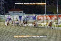 2026_PACEPIX_GP27102026_Race7_ViciouslyUnkind_WIN_WEB-5