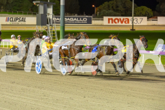 2023_HCC_GP12082025_Race7_Vybrant_WEB-1
