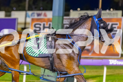2025_PACEPIX_GP16122025_RACE7_WahineToa_WIN_WEB-11