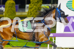 2025_PACEPIX_GP16122025_RACE7_WahineToa_WIN_WEB-12