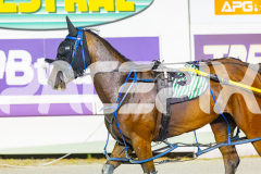 2025_PACEPIX_GP16122025_RACE7_WahineToa_WIN_WEB-15