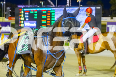 2025_PACEPIX_GP16122025_RACE7_WahineToa_WIN_WEB-17