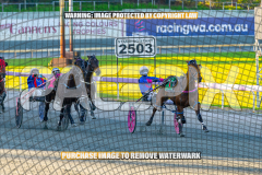 2026_PACEPIX_GP27072026_Race7_WhenInVegas_WIN_WEB-12