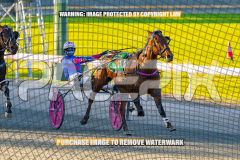 2026_PACEPIX_GP27072026_Race7_WhenInVegas_WIN_WEB-14