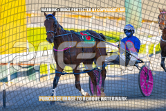 2026_PACEPIX_GP27072026_Race7_WhenInVegas_WIN_WEB-21