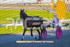 2026_PACEPIX_GP27072026_Race7_WhenInVegas_WIN_WEB-22