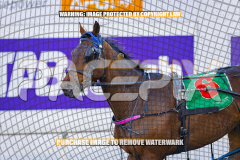 2026_PACEPIX_GP27072026_Race7_WhenInVegas_WIN_WEB-23