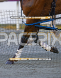 2026_PACEPIX_GP27072026_Race7_WhenInVegas_WIN_WEB-25