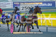 2026_PACEPIX_GP27072026_Race7_WhenInVegas_WIN_WEB-3