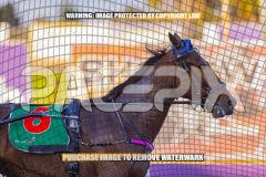 2026_PACEPIX_GP27072026_Race7_WhenInVegas_WIN_WEB-5