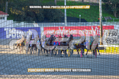 2026_PACEPIX_GP27072026_Race7_WhenInVegas_WIN_WEB-6