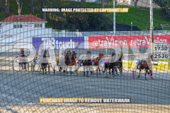 2026_PACEPIX_GP27072026_Race7_WhenInVegas_WIN_WEB-8