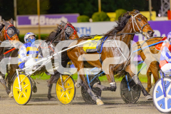 2025_PACEPIX_GP03062025_RACE7_YankeeLover_WIN_WEB-1