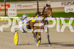 2025_PACEPIX_GP03062025_RACE7_YankeeLover_WIN_WEB-10