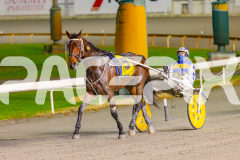 2025_PACEPIX_GP03062025_RACE7_YankeeLover_WIN_WEB-12