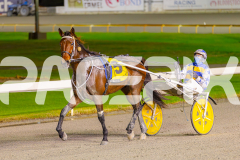 2025_PACEPIX_GP03062025_RACE7_YankeeLover_WIN_WEB-13
