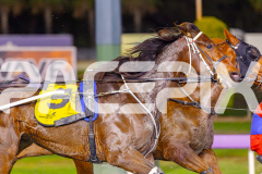 2025_PACEPIX_GP03062025_RACE7_YankeeLover_WIN_WEB-2