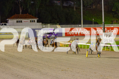 2025_PACEPIX_GP03062025_RACE7_YankeeLover_WIN_WEB-3