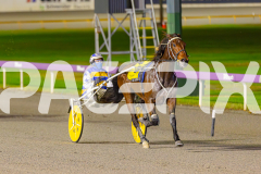 2025_PACEPIX_GP03062025_RACE7_YankeeLover_WIN_WEB-4