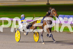 2025_PACEPIX_GP03062025_RACE7_YankeeLover_WIN_WEB-5
