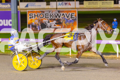 2025_PACEPIX_GP03062025_RACE7_YankeeLover_WIN_WEB-8