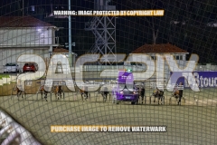 2026_PACEPIX_GP02102026_Race7_ImStealthy_WIN_WEB-1