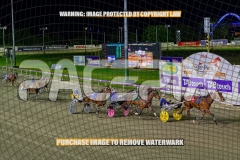 2026_PACEPIX_GP02102026_Race7_ImStealthy_WIN_WEB-10