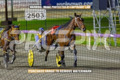 2026_PACEPIX_GP02102026_Race7_ImStealthy_WIN_WEB-15