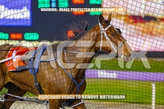 2026_PACEPIX_GP02102026_Race7_ImStealthy_WIN_WEB-16