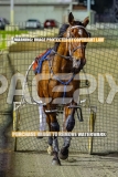2026_PACEPIX_GP02102026_Race7_ImStealthy_WIN_WEB-18
