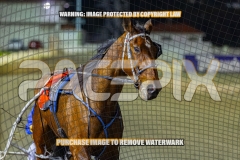 2026_PACEPIX_GP02102026_Race7_ImStealthy_WIN_WEB-19