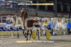 2026_PACEPIX_GP02102026_Race7_ImStealthy_WIN_WEB-22