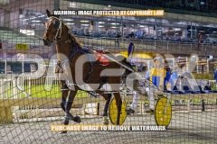 2026_PACEPIX_GP02102026_Race7_ImStealthy_WIN_WEB-23