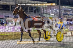 2026_PACEPIX_GP02102026_Race7_ImStealthy_WIN_WEB-24