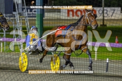 2026_PACEPIX_GP02102026_Race7_ImStealthy_WIN_WEB-4