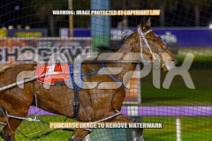 2026_PACEPIX_GP02102026_Race7_ImStealthy_WIN_WEB-5